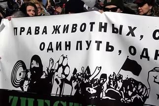 ������ ������ ��������� 18 �������: