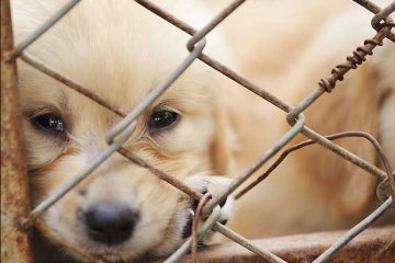 ��������� ������ � ������� ���������� ��������� (����� I)