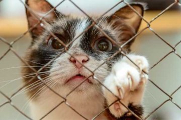 ��������� ������ � ������� ���������� ��������� (����� II)