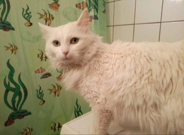 ������ ������ ��������� ����������� ��� ���� ��������