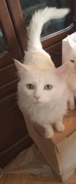 ������ ������ ��������� ����������� ��� ���� ��������