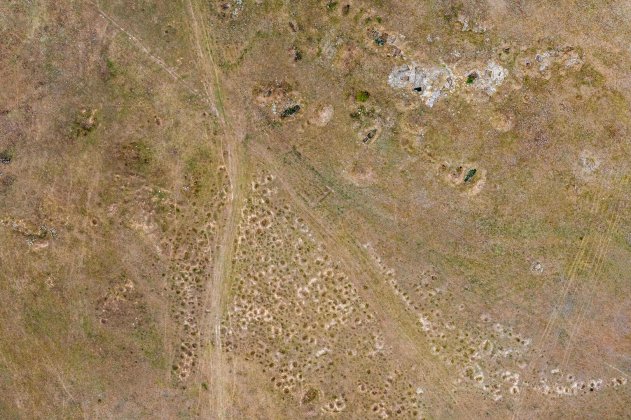 Воссоединение русских берегов. К грядущему 2650-летию Керчи