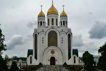 Прогерманская \